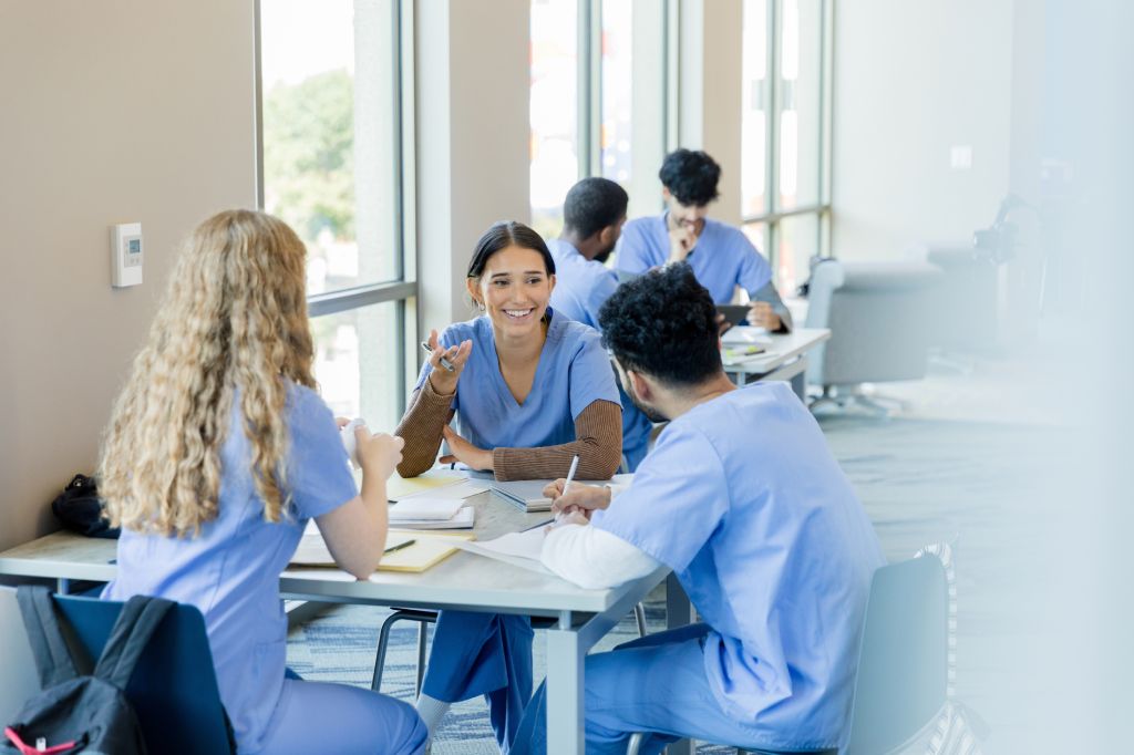 THE EDGEWOOD COLLEGE ONLINE NURSING COMMUNITY